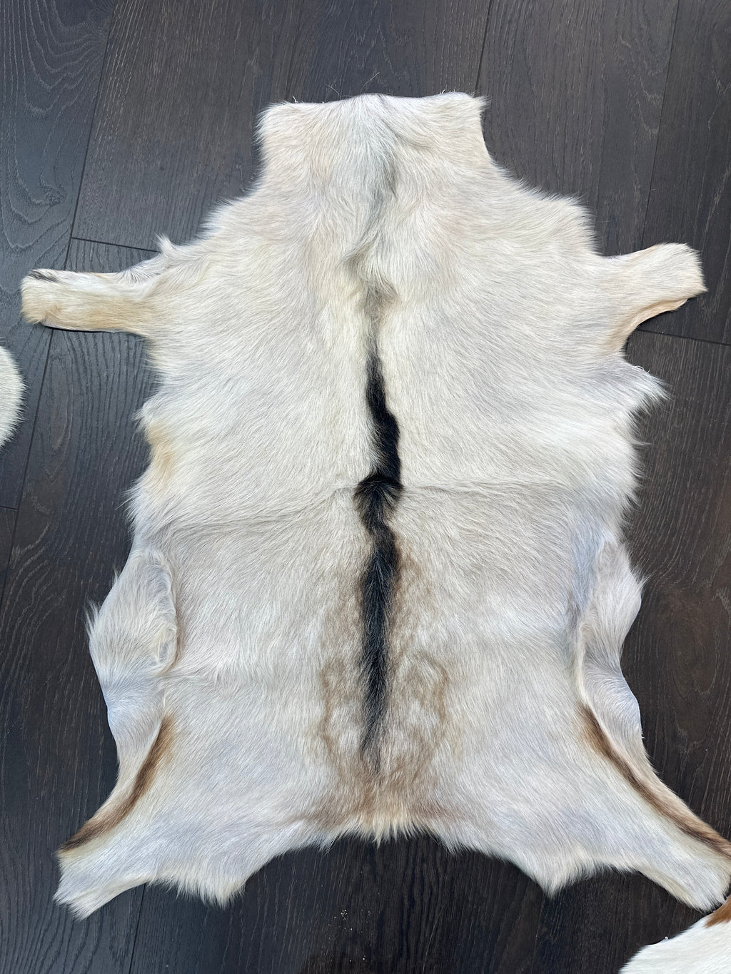 Goat 🐐 Skin