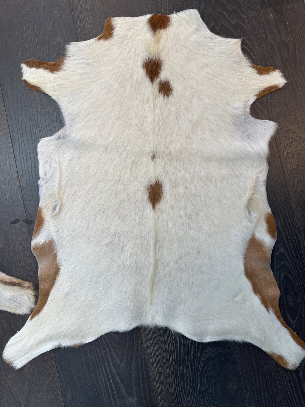 Goat 🐐 Skin