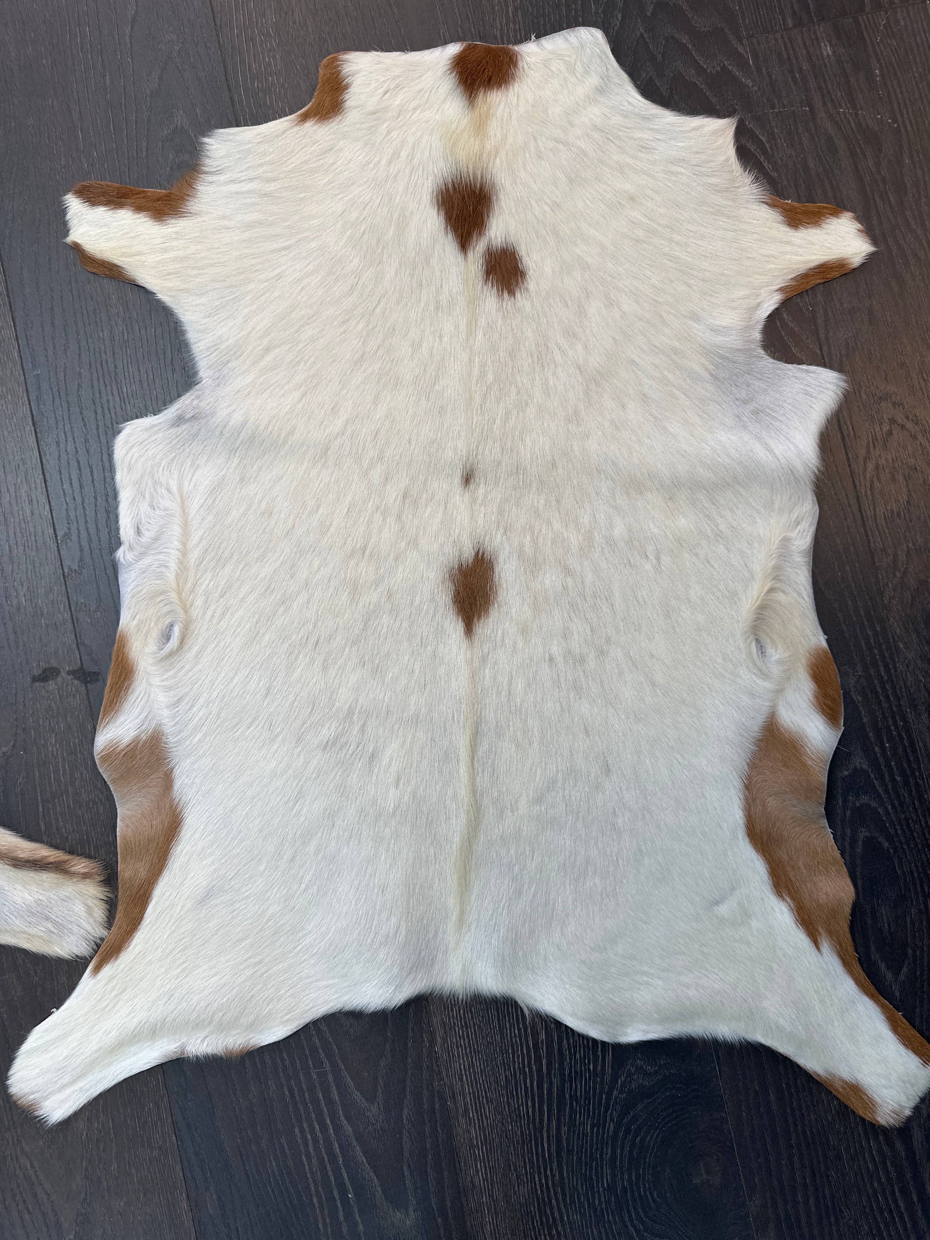 Goat 🐐 Skin