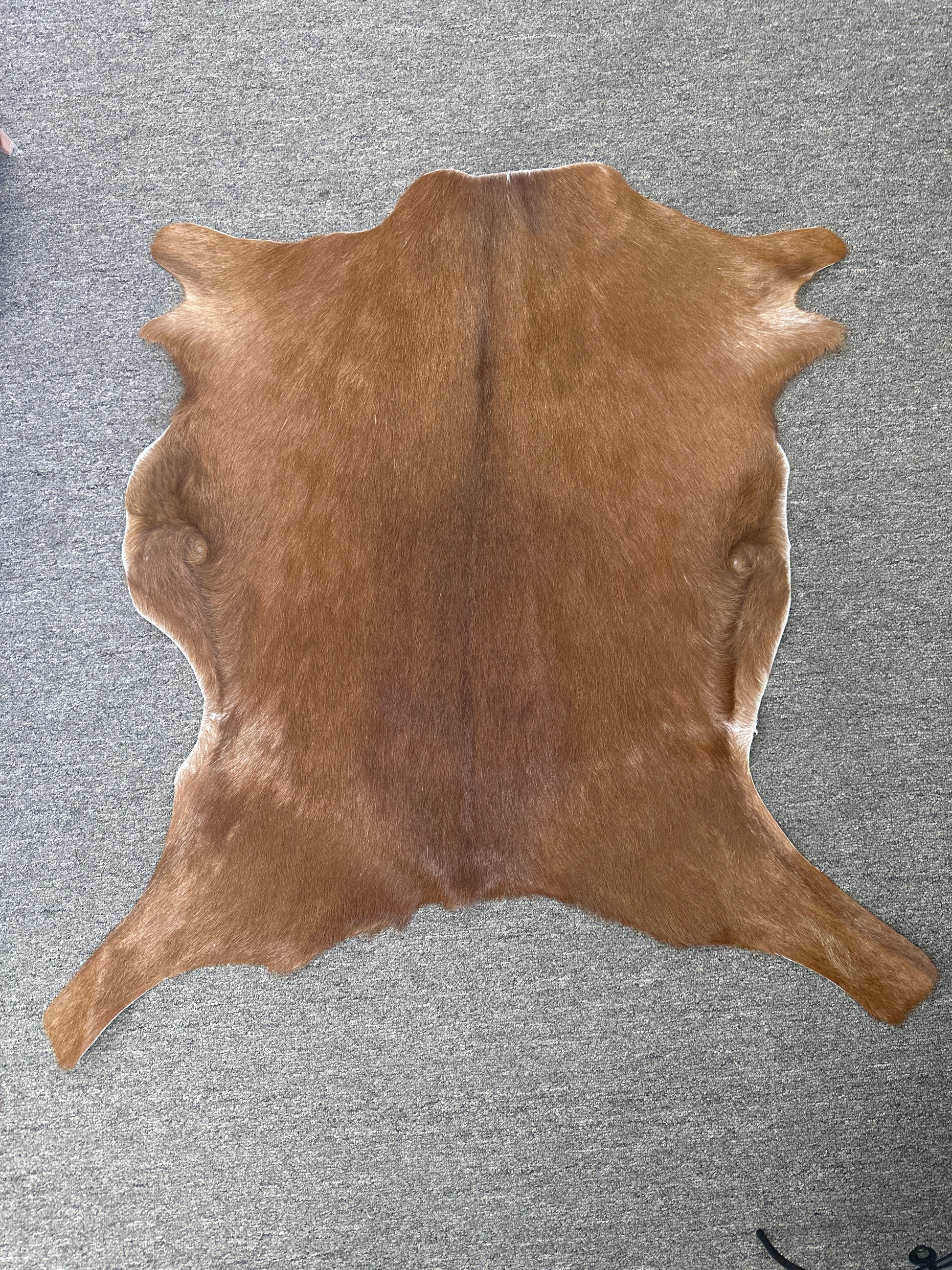 Goat Hide