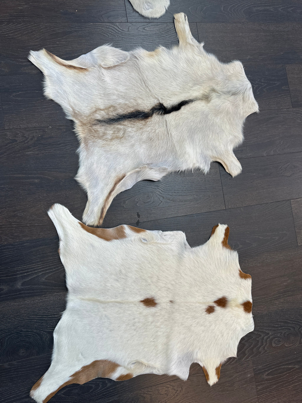 Goat 🐐 Skin