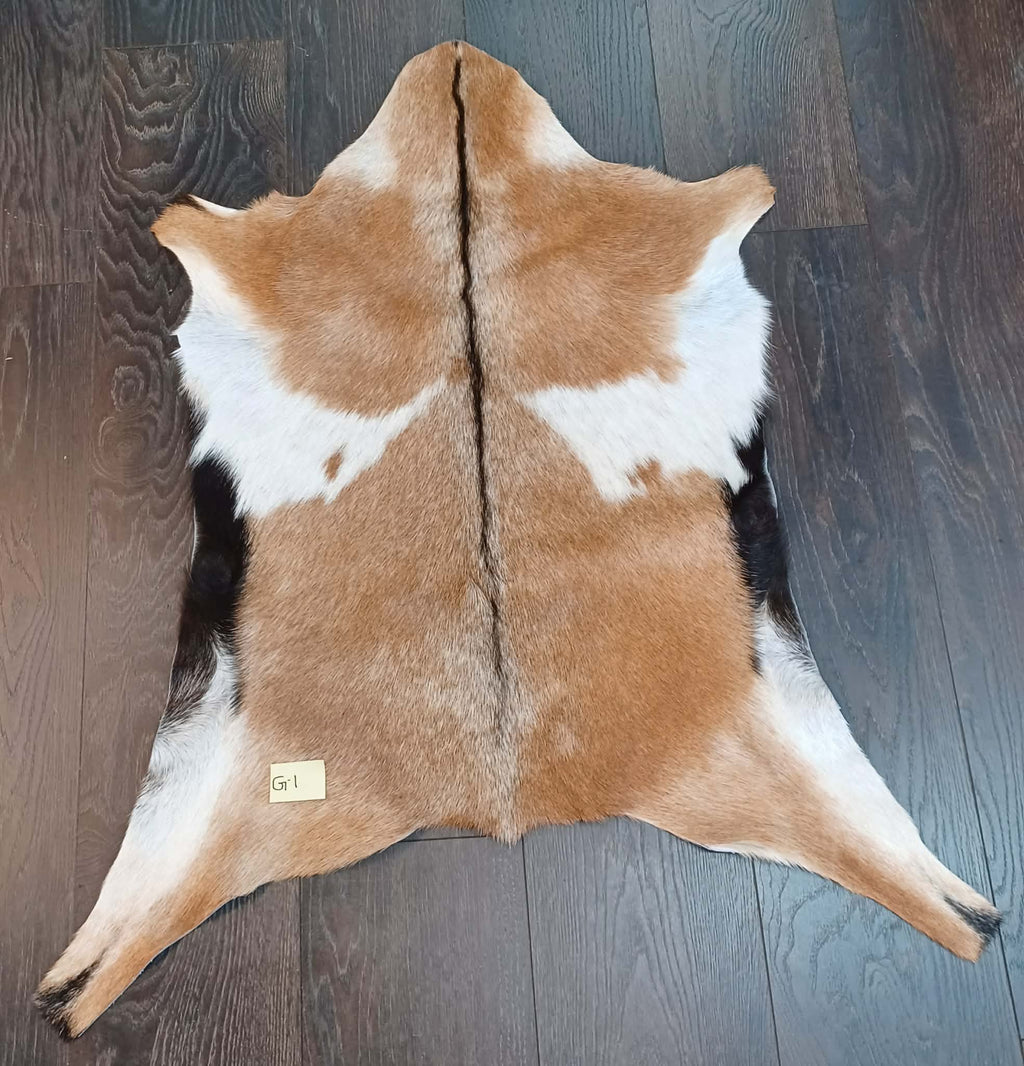 Goat 🐐 Skin