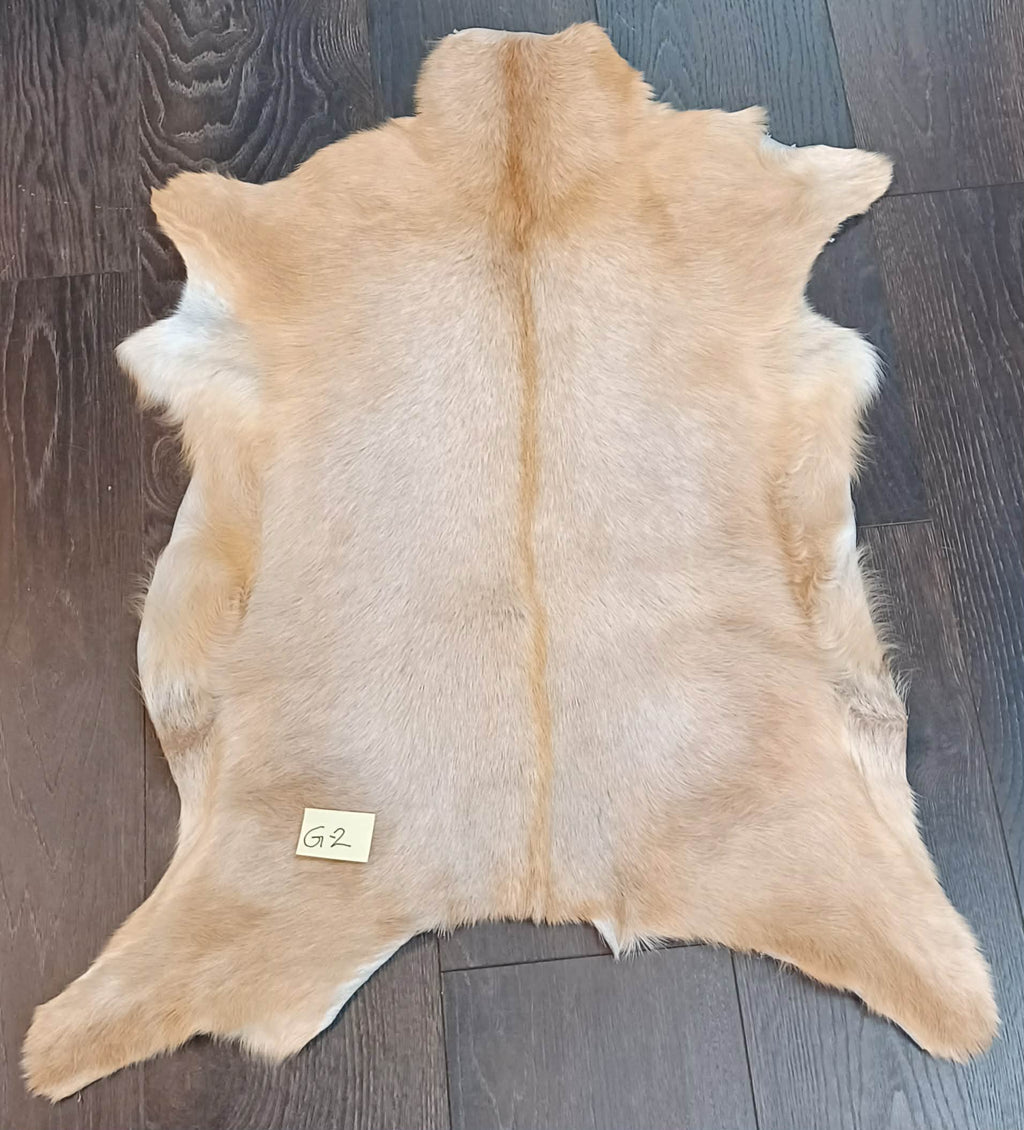 Goat 🐐 Skin