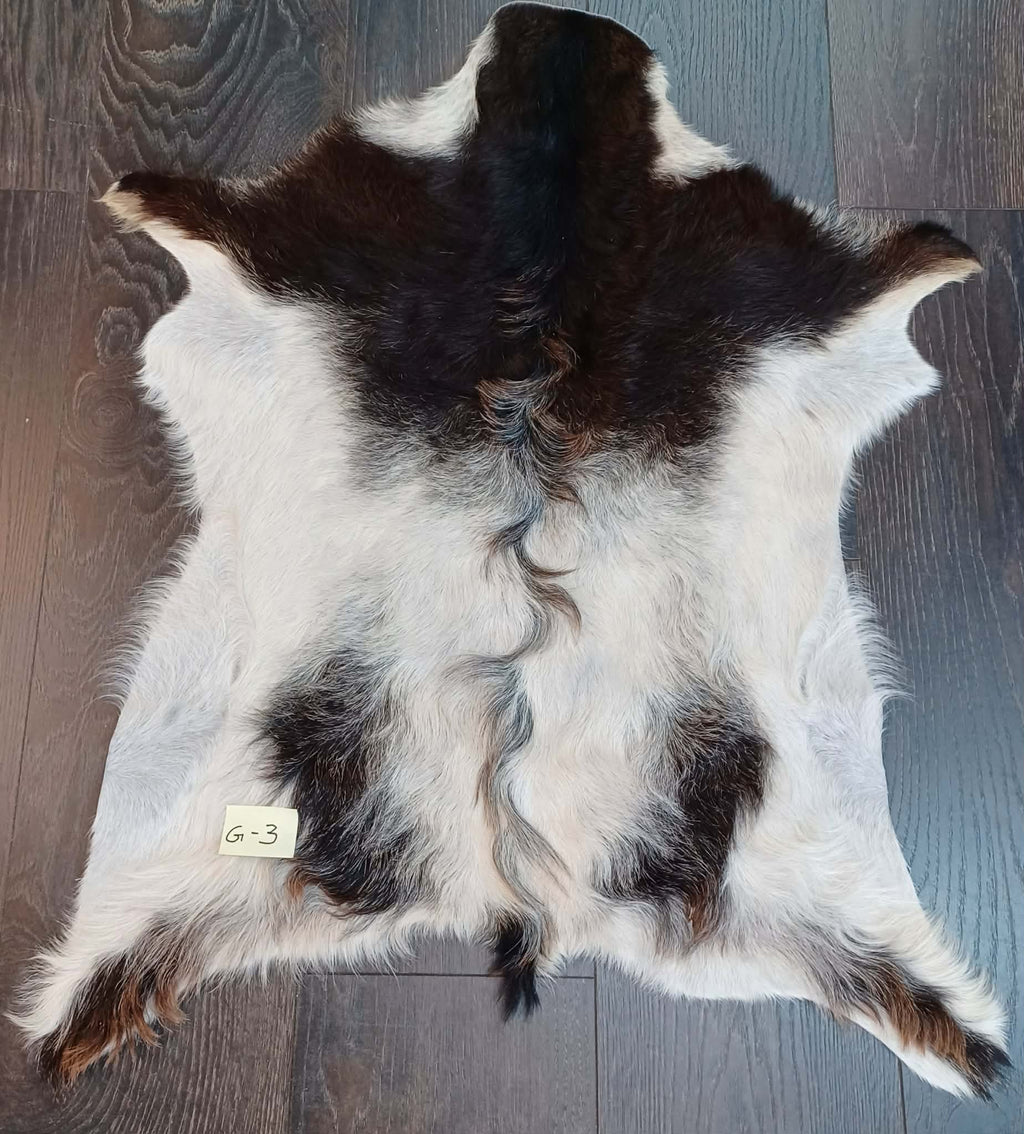 Goat 🐐 Skin