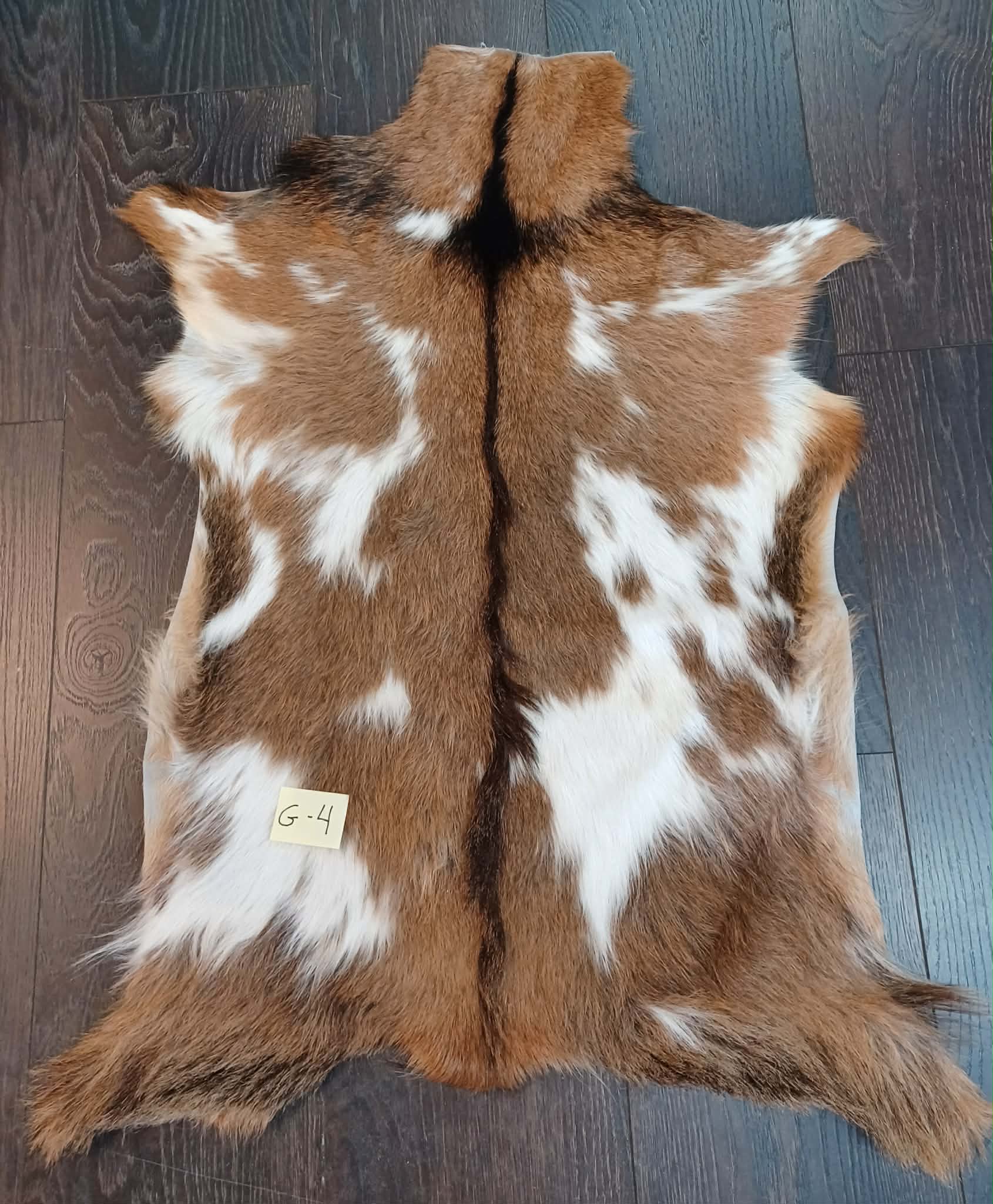 Goat 🐐 Skin