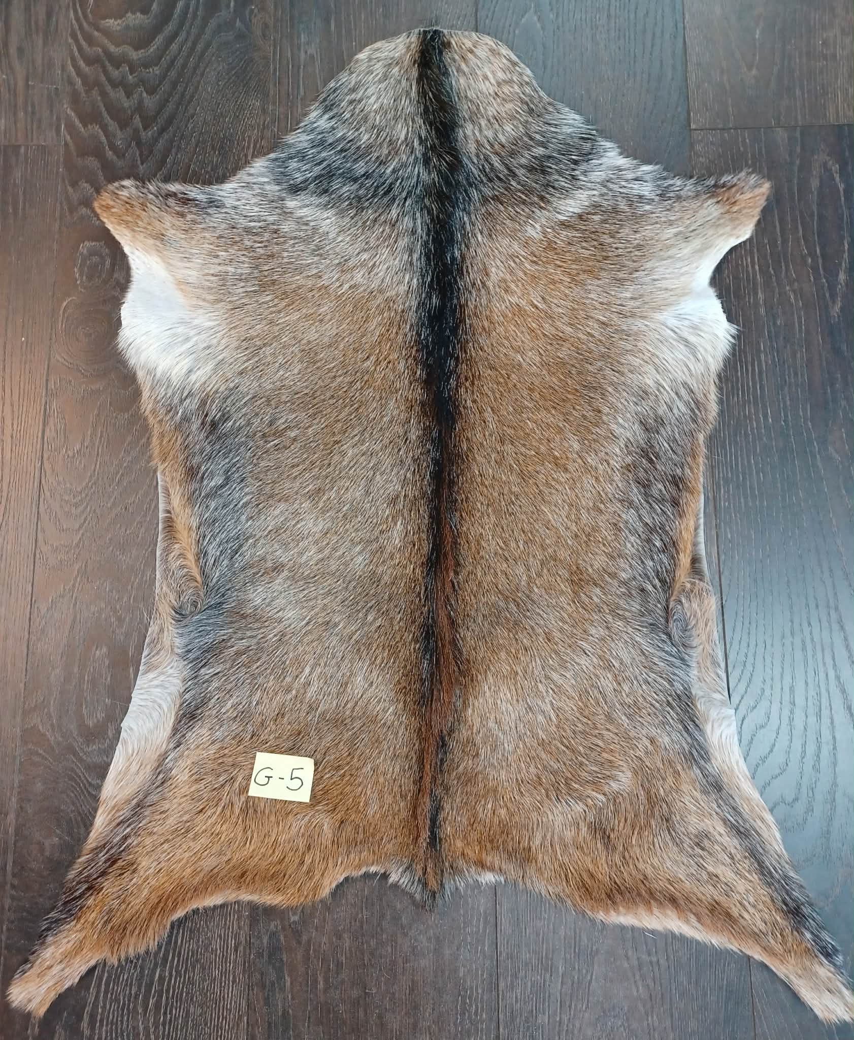 Goat 🐐 Skin